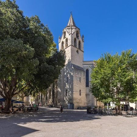 Cocon Douillet Avec Vue - Intramuros Avignon Exterior photo